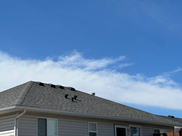 Best Chimney Flashing Repair  in Lake Jackson, TX